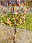 Vincent van Gogh Peach Tree in Blossom painting
